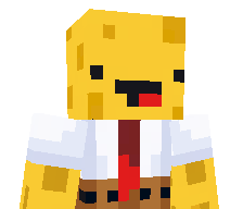 Plaamsy's skin