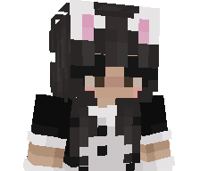 PandaDk's skin