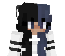 __T0kito_'s skin