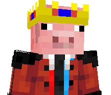 Bravelol's skin
