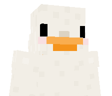 Sirpugington's skin