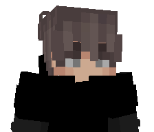 Sheltix's skin