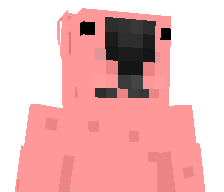Paisz's skin