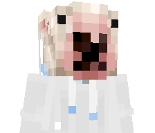 seacnd's skin