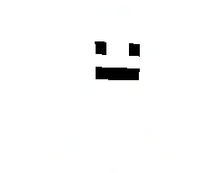 NotTraduce's skin