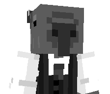 _Vitzen's skin