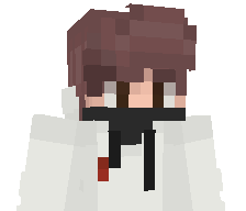 javix12k's skin
