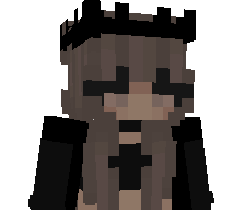 Accounta's skin
