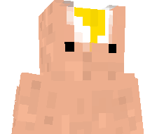 Coquilledoeuf's skin