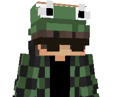 Not_N1kk's skin