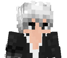 V0lt_PL's skin