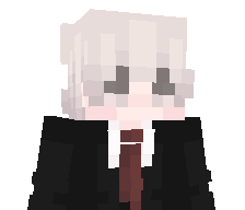 ENVW's skin