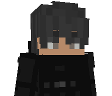 Sw1ftr's skin