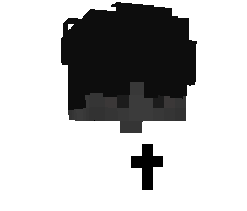 whoneyn's skin