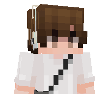 hanzyshow's skin