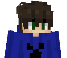 Zeldacraft2011's skin