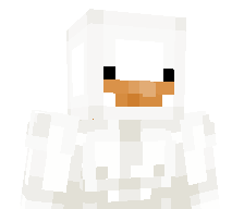 SuperDucl's skin