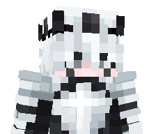 y_streetfighter's skin