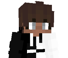 JewelPaladin's skin