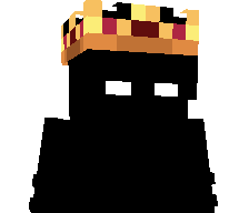 No5n1H's skin
