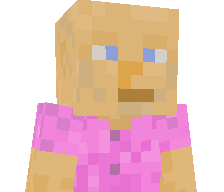 ranzpommes's skin