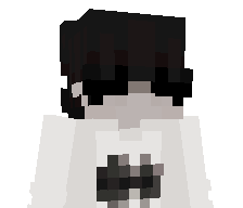 90001's skin