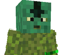wrockos's skin