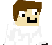 SandwichLordMC's skin