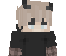 notpier_'s skin