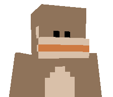 duobloxer's skin