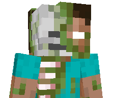 H3ROBR1NE's skin