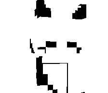 DarckSann's skin