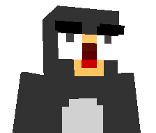 22220's skin