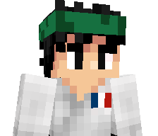 RoninSung's skin