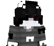 Arvinbr's skin