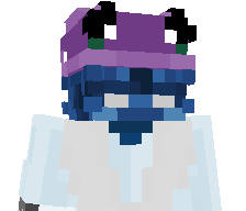 SkeppysRaccoon's skin