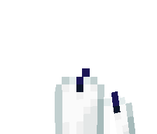 Kotel69's skin