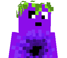 VoIdRiXx's skin