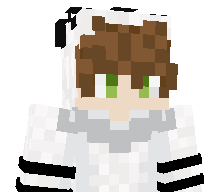 MaxDaPanda's skin