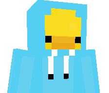 MrDuck_Face's skin