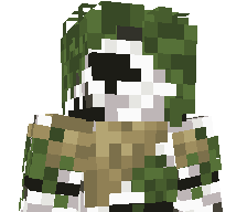 Brz0za0's skin