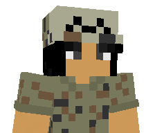 paccar's skin