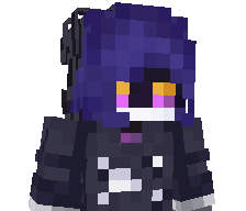 aarecraft2024's skin