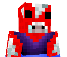 Binzx's skin