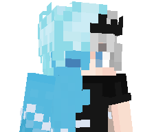 noxcoded's skin