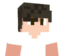 aerxzt's skin