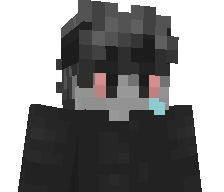 44Lv's skin