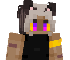 VoidAuraX's skin