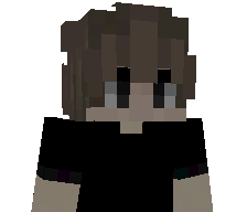 Temmiezs's skin