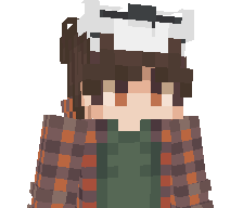 Pandeeerr's skin
